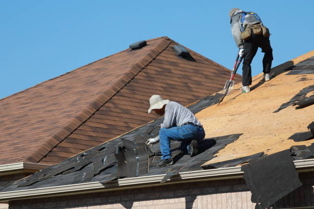 Best Roof Coating and Sealing  in Champaign, IL